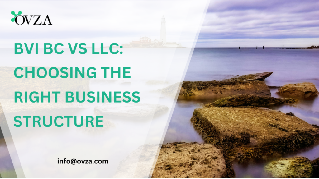 BVI LLC vs BC Benefits