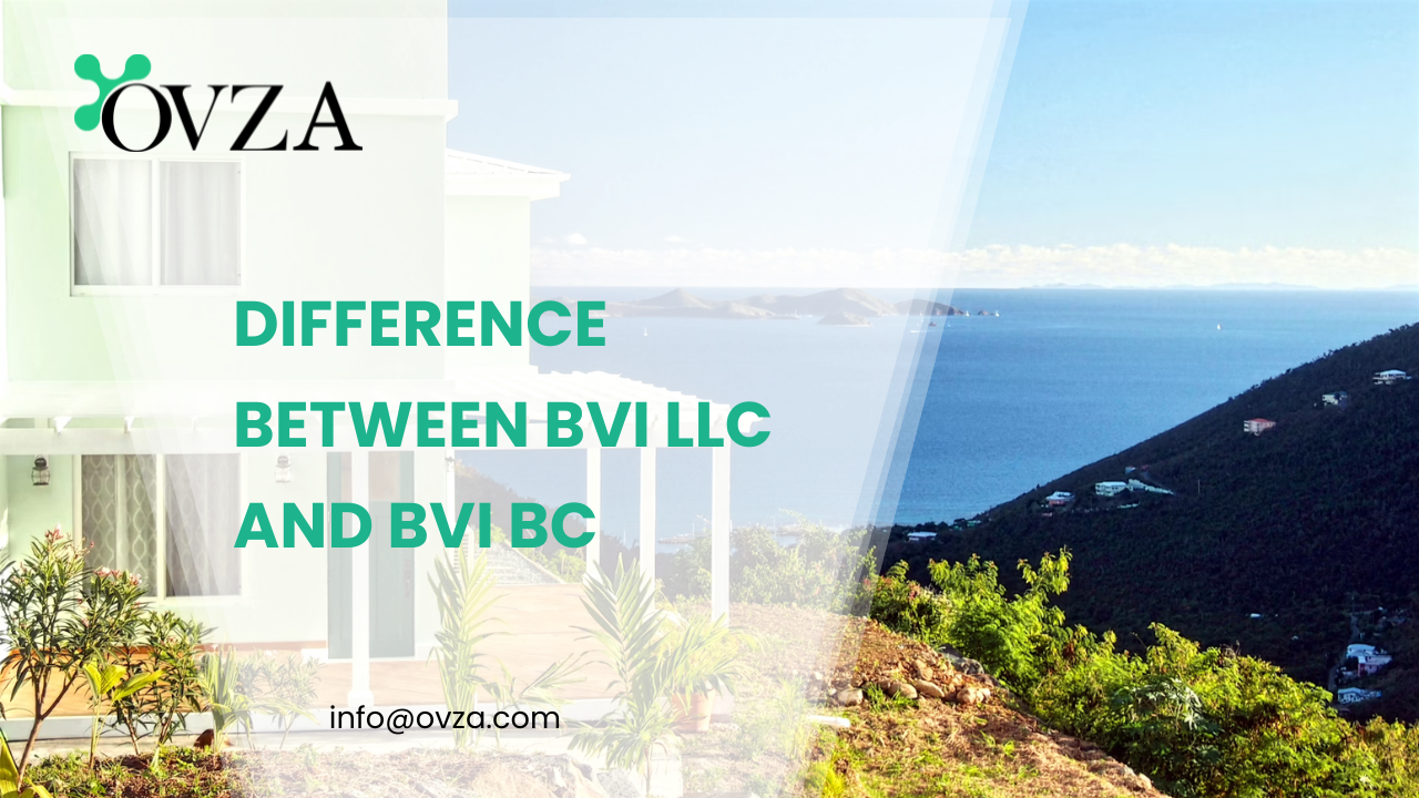 Difference Between BVI LLC and BVI BC