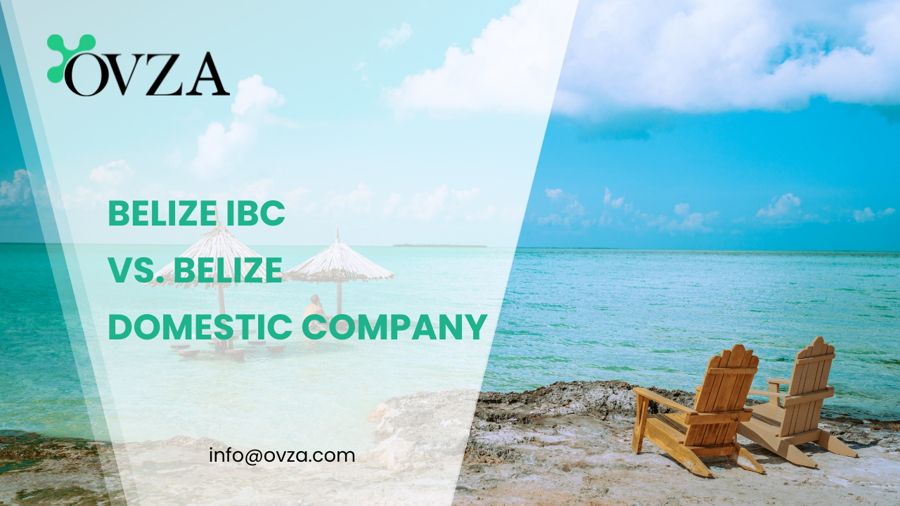 Belize IBC vs. Belize Domestic Company